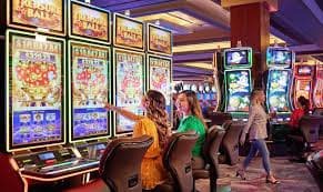 97966 bet 97966 bet